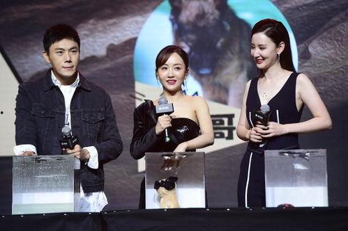 娱乐圈近期吃瓜合集